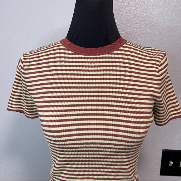 Zara Crewneck Ribbed Short Sleeve Brown Coffee Mint Green Striped CropTop LARGE - Picture 2 of 6